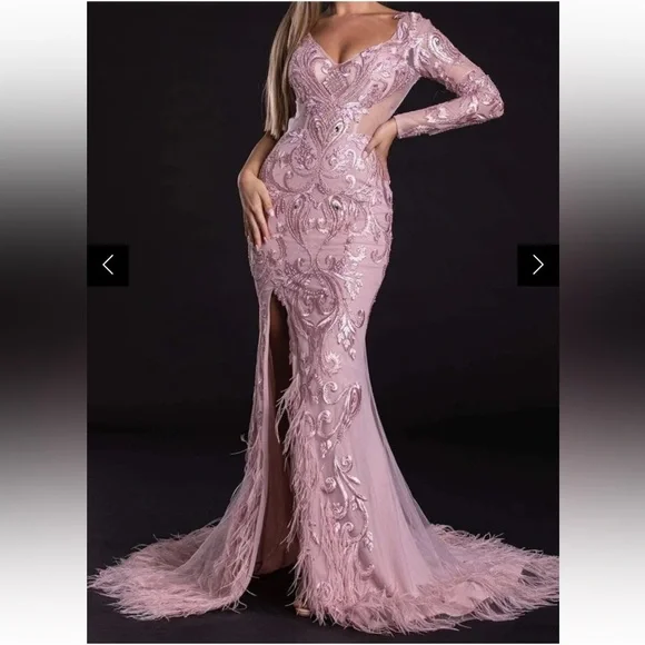 Portia and Scarlett Blush Long Sleeve Feather Fringed Embroidered Gown Size 6 - Picture 12 of 16